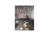 Tarsus’ta ahıra yıldırım düştü: 5 küçükbaş hayvan telef oldu