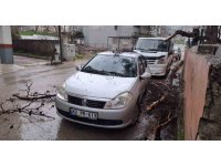 Yağmur ve şiddetli rüzgar çam ağacını devirdi, otomobil zarar gördü