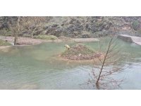 Mahsur kalan köpeği itfaiye ekipleri kurtardı