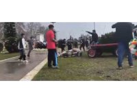 Atını sopa ve tekmeyle bayılttı