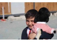 Annesi doğumda telef olan ’Boncuk’ kuzu, elbisesi ve biberonuyla ilgi odağı oldu