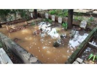 Adana’da mezarlık sular altında kaldı, vatandaşlar mezara poşetle girdi