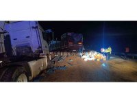 Zirai gübre yüklü tır devrildi: 1 yaralı