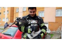 Alevlerin arasından kurtarıldı: İtfaiye hamile kediyi sağ salim çıkardı