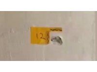 "Polisiz" diyerek eve giren şüpheliler anne ile oğlunu vurdu