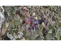 Dağda mahsur kalan keçi kurtarıldı