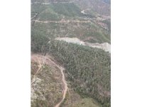 Mersin’de ak pelikanların dansı görsel şölen sundu