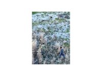 Burdur’da kaçak avcılar drondan kaçamadı