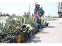 Hatay Büyükşehir Belediyesi bitkide dışa bağımlılığı en aza indirmeyi hedefliyor
