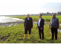 TZOB Genel Başkanı Bayraktar: "Üreticilerimize muhakkak nakdi yardım yapılması gerekiyor"