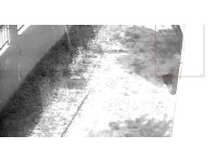 Apartman dairesine tırmanıp girdi, dizüstü bilgisayar çaldı