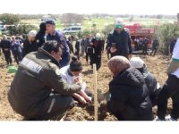 Burdur’da zeytin ve fıstıkçamı fidanları toprakla buluştu