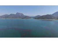 Kozan Barajı doldu: Yağışlarla birlikte doluluk oranı yüzde 60’a yükseldi