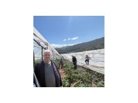 Kumluca’da hortum seraları vurdu, 10 dönüm alan zarar gördü