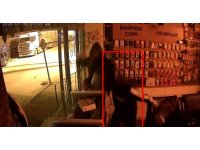 Parke taşıyla camları kırıp iş yerini soyanlar tutuklandı