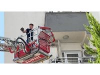 Balkon filesine takılan güvercini itfaiye kurtardı