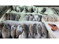 Kahramanmaraş’ta su ürünleri av yasağı başladı