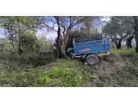 Zeytin bahçesine uçan patpatın sürücüsü öldü