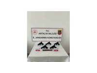 Antalya’da kaçak silah operasyonu