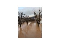 Elmalı’da dereler taştı, tarım alanları sular altında kaldı