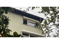 Pencereden bakan ev kedisi itfaiyeyi alarma geçirdi