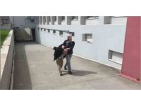 Aracında 825 kilo bonzai yapılacak ham madde yakalattı: "Bana ait değil"