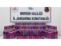 Mersin’de 650 gümrük kaçağı elektronik sigara ele geçirildi