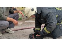 İtfaiye eri yangında dumandan etkilenen kediyi kalp masajı ile hayata döndürdü