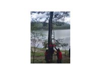 Osmaniye’de ağaca takılan kargayı itfaiye kurtardı