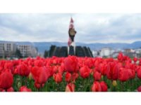 Kahramanmaraş’ta kavşaklarda görsel şölen