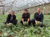 Antalya’da  kış karpuzu hasadı için geri sayım başladı