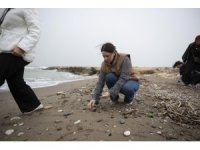 Mersin’de biyoçeşitlilik için sahaya indiler