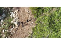 Yürüyüşe çıktığı dağlık alanda kayboldu: AFAD ekiplerince dronla bulundu