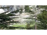 Osmaniye’de kayalıklardan düşen adam hayatını kaybetti