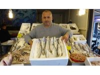 Akdeniz’de av yasağı başlıyor