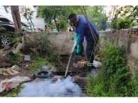 Büyükşehir’den sinek üreme alanlarında yoğun çalışma