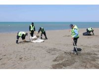 Hatay Büyükşehir Belediyesi, sahillerde temizlik çalışmasını yıl boyu sürdürüyor