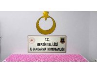 Mersin’de uyuşturucu haplarla yakalanan 2 şüpheli tutuklandı