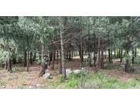 Anne ve oğlunu öldüren katil akrabaların çaldıkları altınları kuyumcuya sattıkları ortaya çıktı