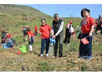 TBMM’nin 106. yılında 106 fidan toprakla buluştu