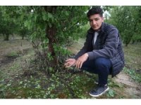 Çevreyi beyaza bürüyen fındık büyüklüğündeki dolu tarım arazilerini vurdu