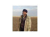 Çiriş otu toplamaya gitti hayatını kaybetti