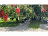 Adana’da termometreler 41 dereceyi gösterdi