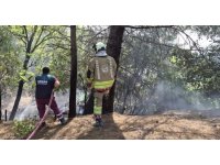 İskenderun’da orman yangını kontrol altına alındı