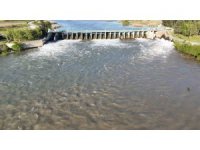 Osmaniye’de yağış bereketi: Dereler doldu, yüzler güldü