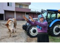 Kozan’daki selde hayvanları telef olan kadın: "Bir anda sel geldi, ahırın üstünü aştı"