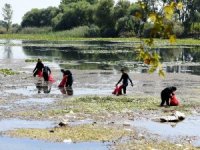 Antalya’nın su kaynağı Kırgöz’deki kirlilik şaşırttı