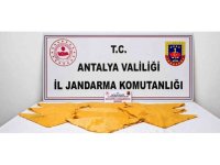 Alanya’da 1 kilo uyuşturucu madde ele geçirildi