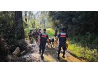 Antalya’da sürüden ayrılıp kaybolan 41 keçi jandarma tarafından bulundu