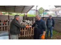 Kurbanlıklar satışa çıktı, pazarlıklar kızıştı